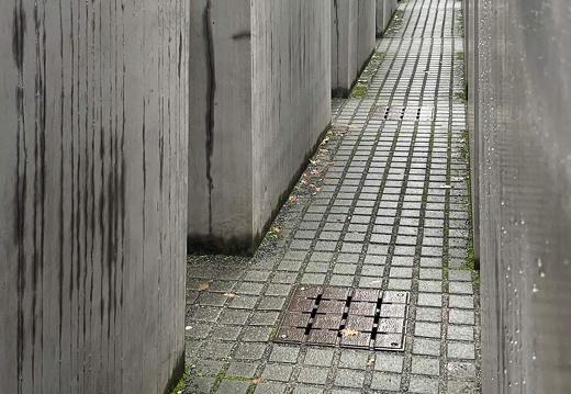 24-12-08 13-03-37 1784